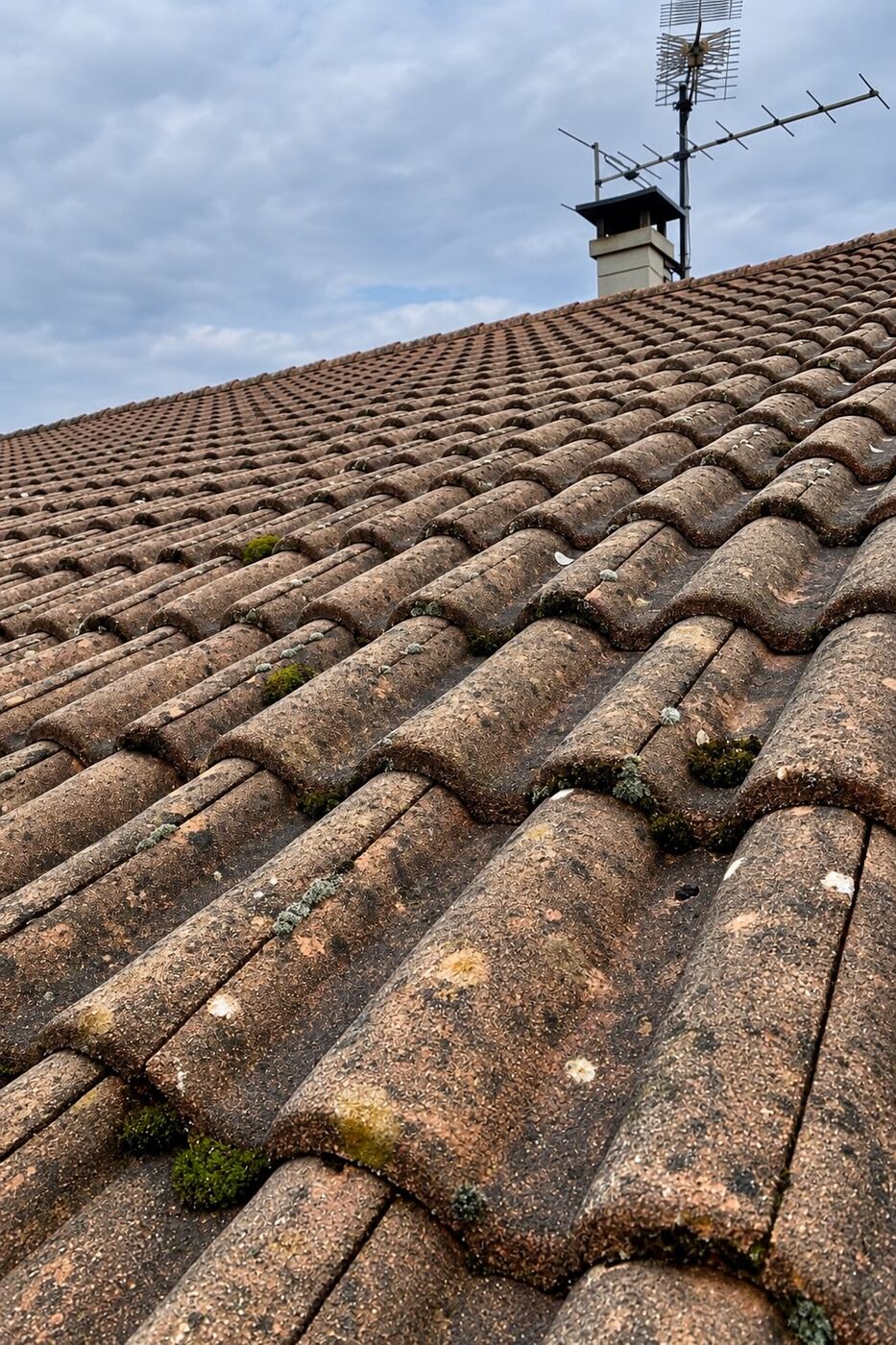 Avant traitement : gros plan sur des tuiles béton, avant et après traitement